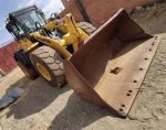 Pala Cargadora WA250
